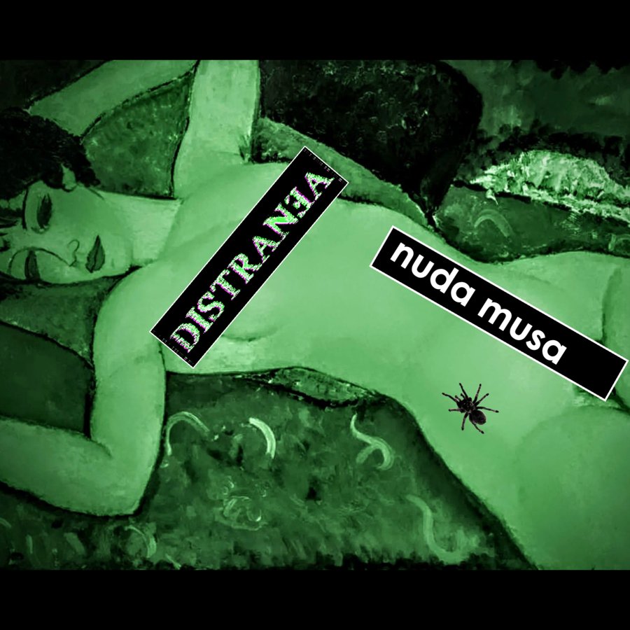 Copertina di Nuda Musa